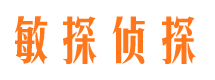 枞阳市私家侦探